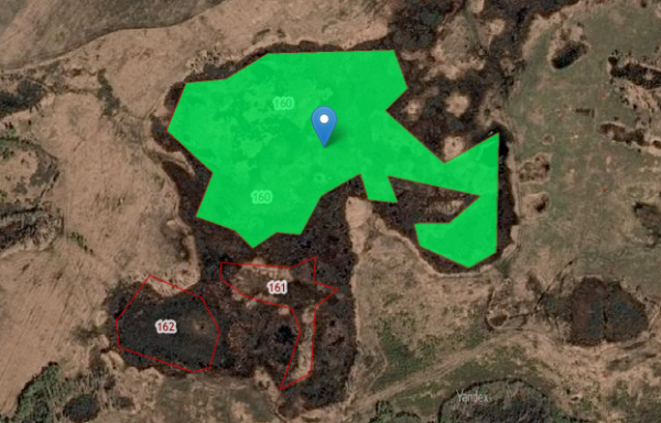 45:20:041901:160