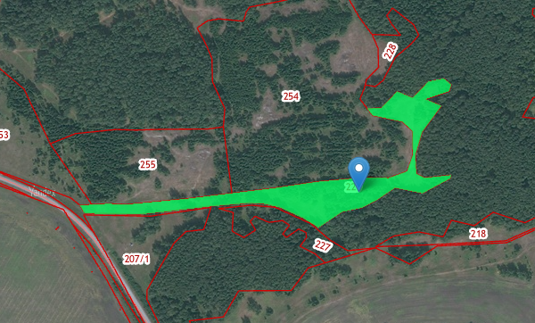 45:19:030101:229