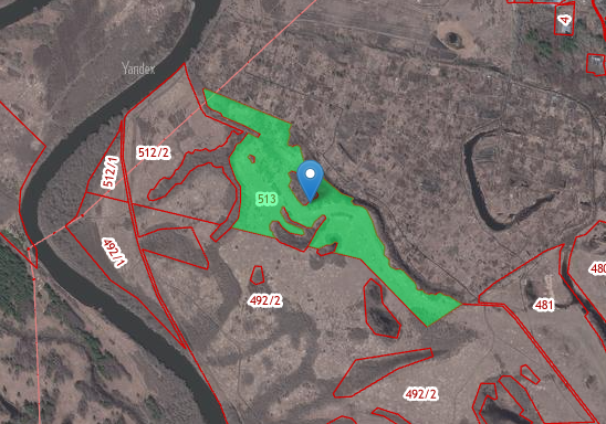 45:04:031201:513