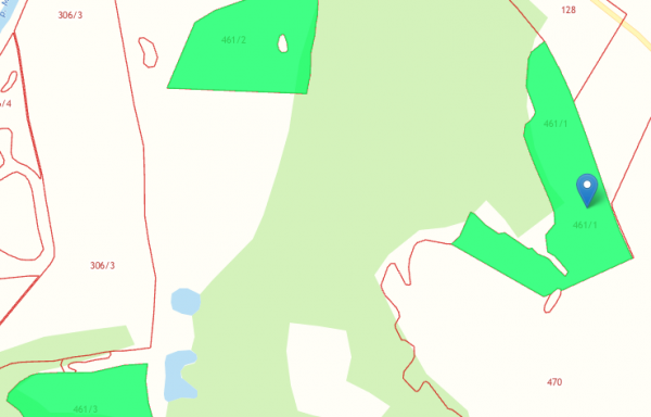 45:06:041101:461