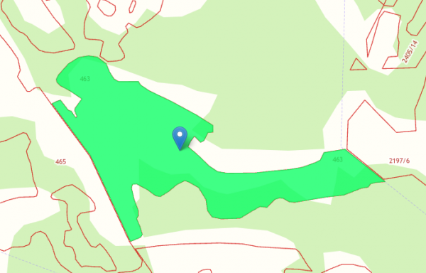 45:06:041101:463