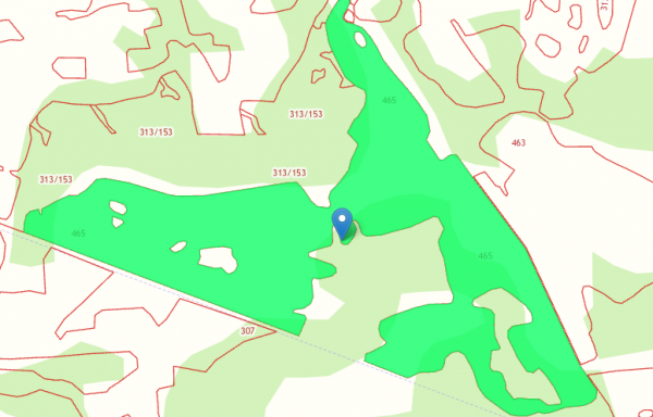 45:06:041101:465