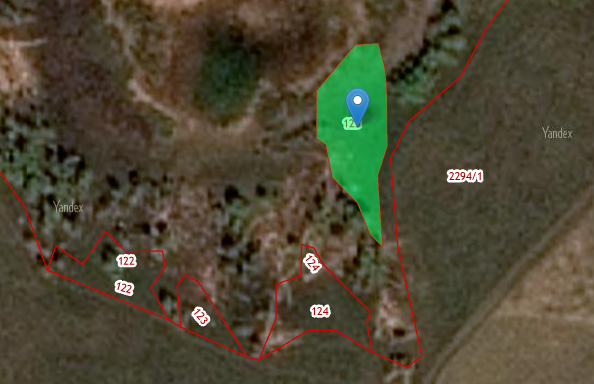 45:17:010101:125