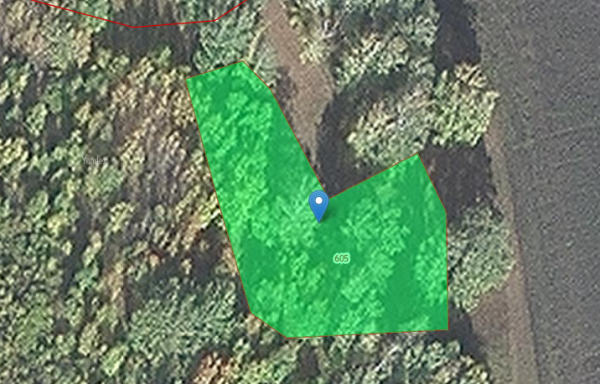 45:17:030101:605