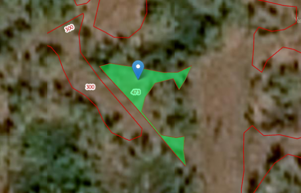 45:17:030902:473