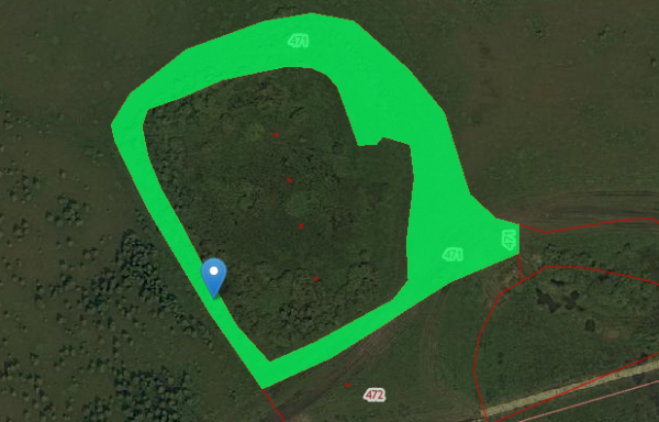 45:23:041004:471