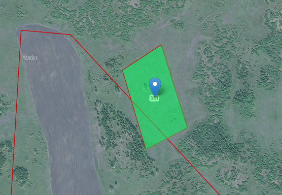 45:15:010601:351