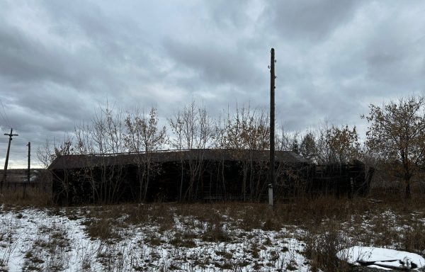 Здание (Шадринский МО, с. Ольховка)