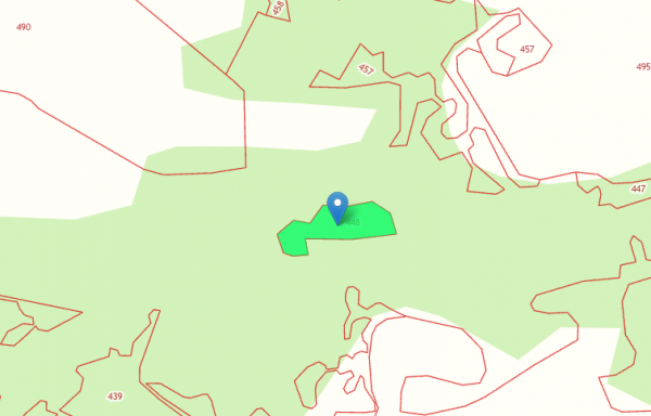 45:23:040601:448